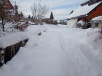 IMG_20230206_103031 (1024x768).jpg